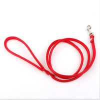 Leash - Red