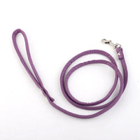 Leash - Purple