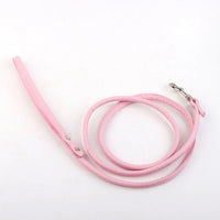 Leash - Pink