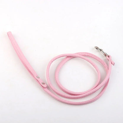 Tush Plug with Leash